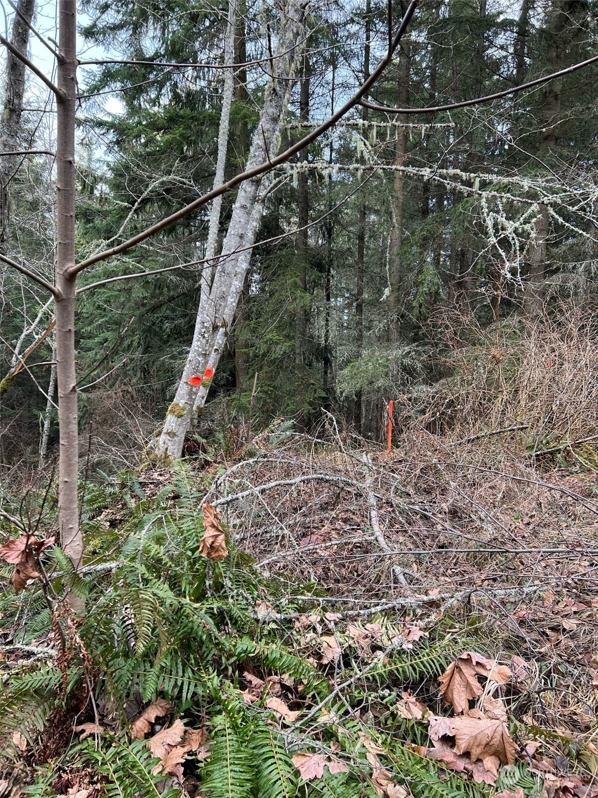 2 Baker View Drive Sequim, WA 98382 - Photo 21 of 27 Gallery Image 21