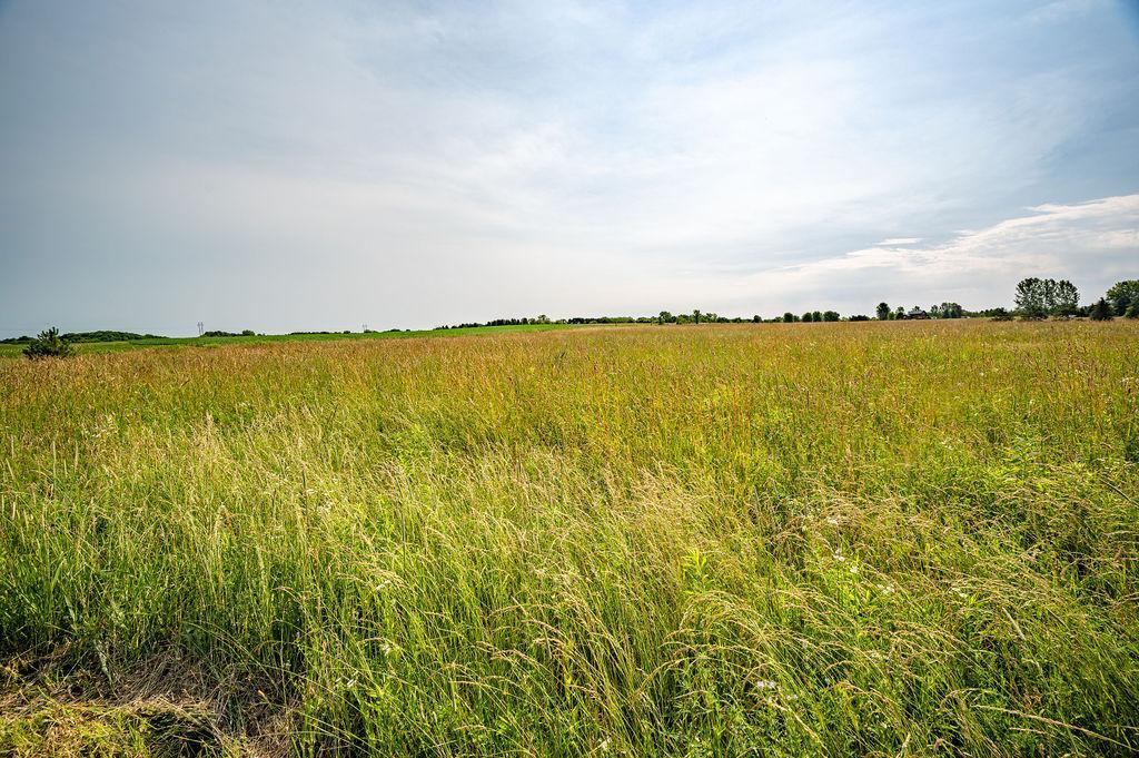N8780 Van Buren Road Spring Valley, WI 54767 - Photo 10 of 13
