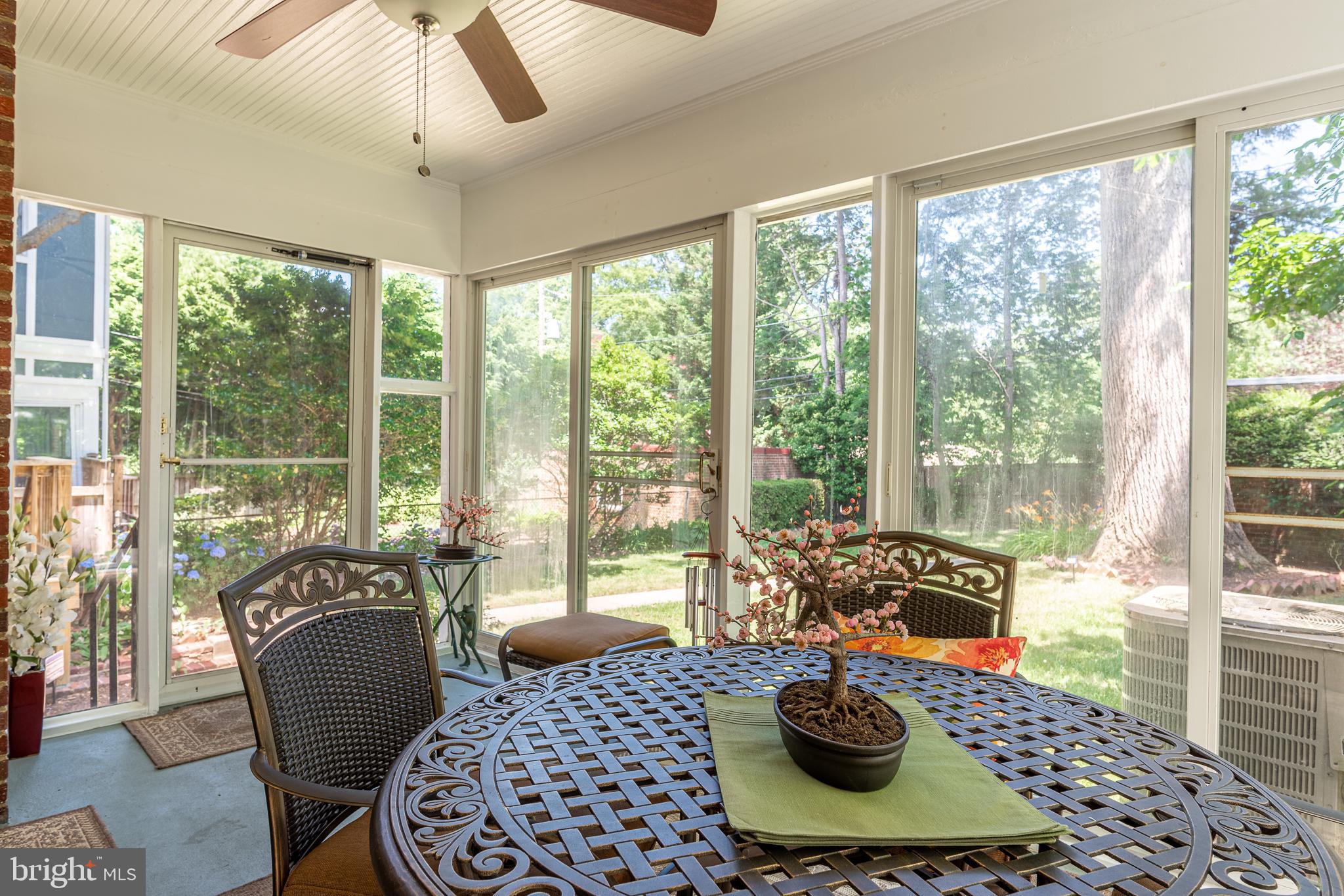 5925 16th Street Northwest Washington, DC 20011 - Photo 27 of 29 Four season porch with East exposure