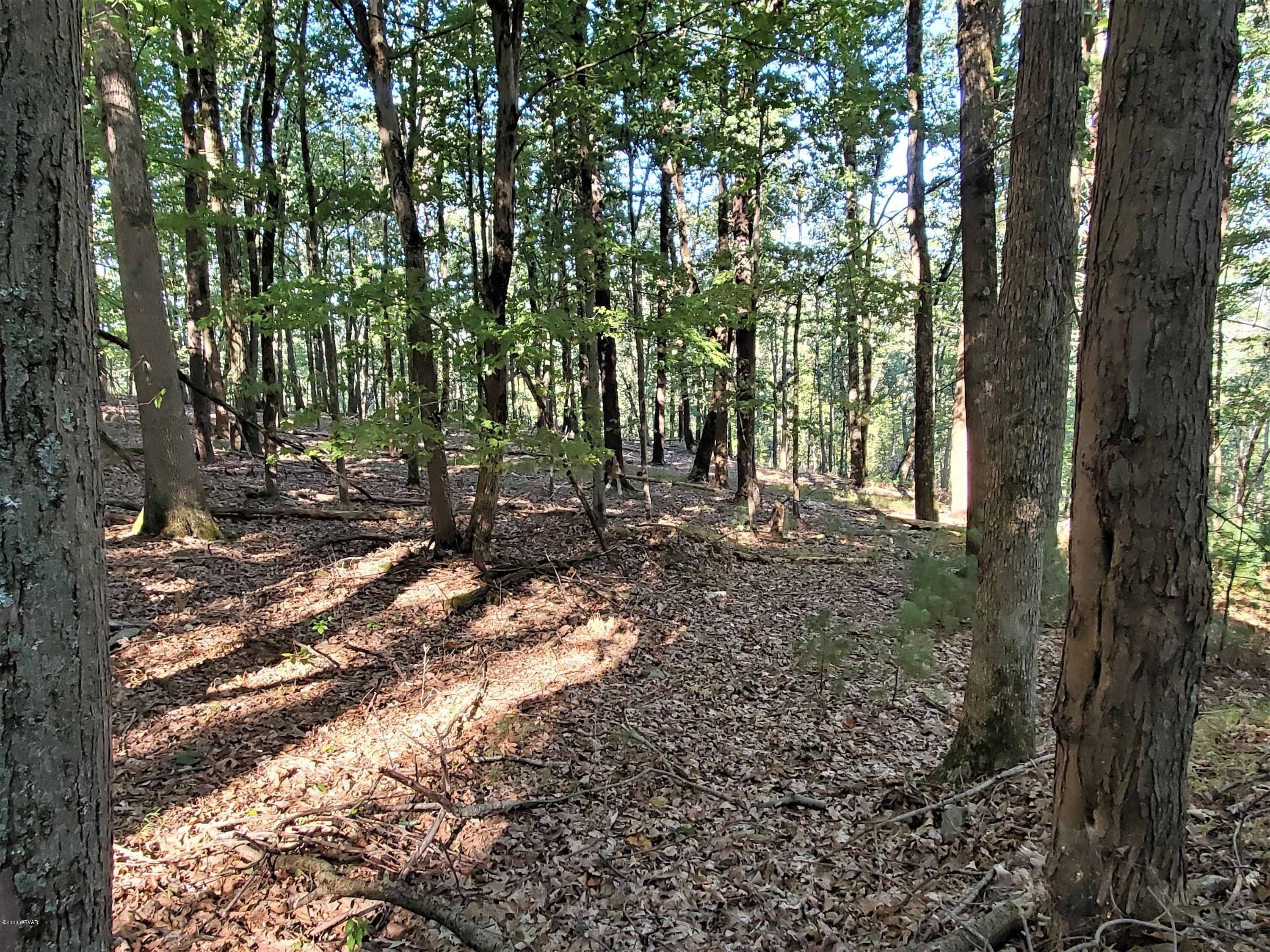 931 Jones Road Mill Hall, PA 17751 - Photo 11 of 14 Gallery Image 11