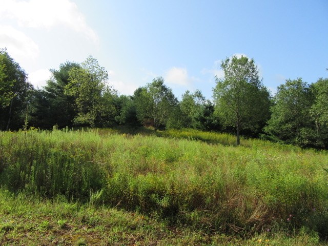 17602 Hibma Road Tustin, MI 49688 - Photo 71 of 94 1837120-70.JPG
