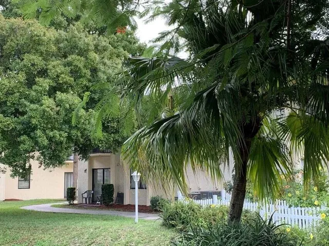 a view of a yard with palm trees