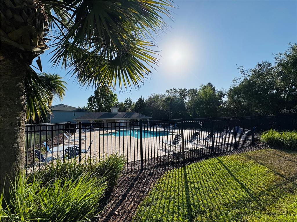 15609 Stable Run Drive Spring Hill, FL 34610 - Photo 37 of 37 a view of a swimming pool with a garden