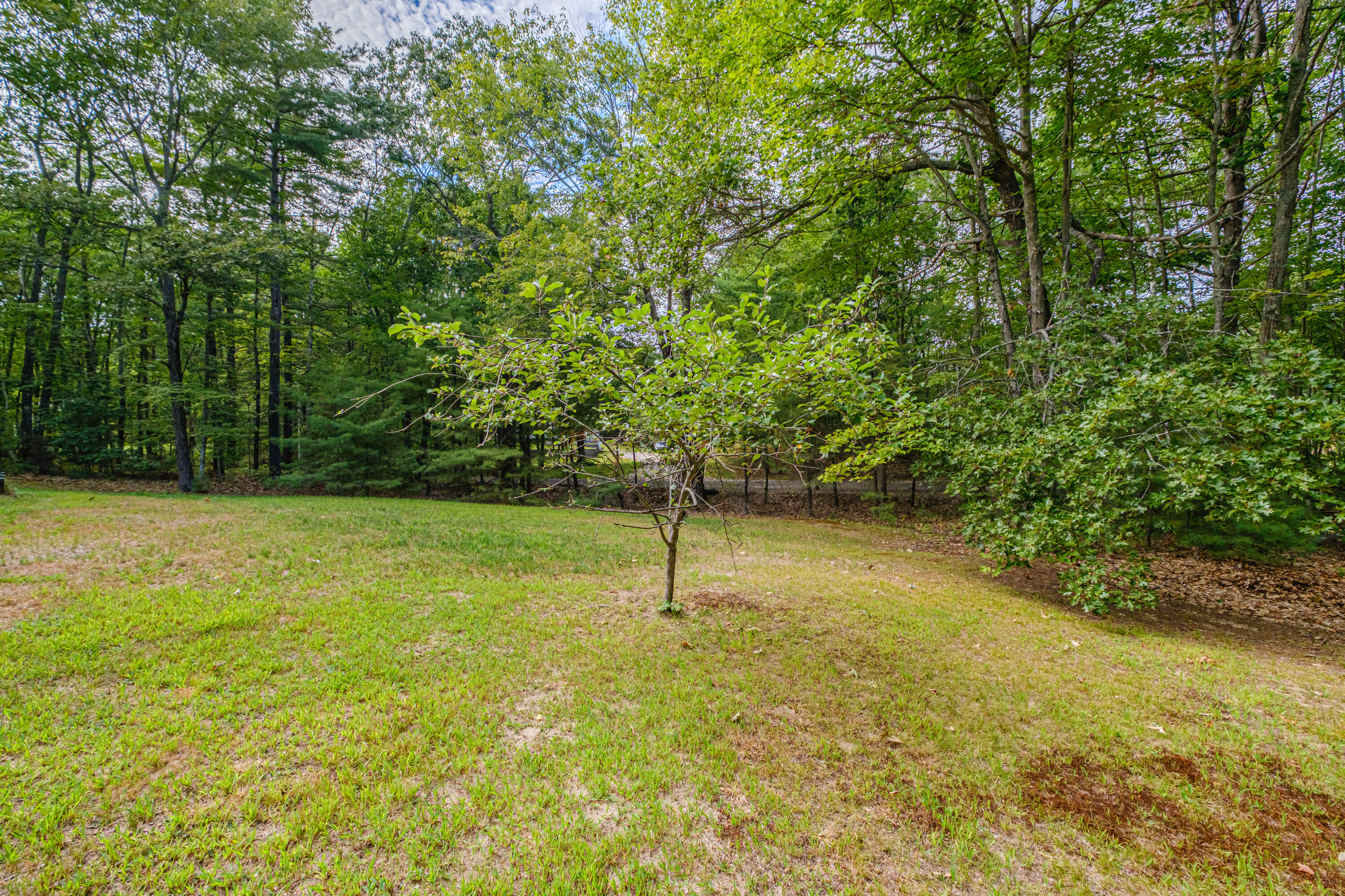 88 Webber Road East Waterboro, ME 04030 - Photo 11 of 44 20250819gp-63046