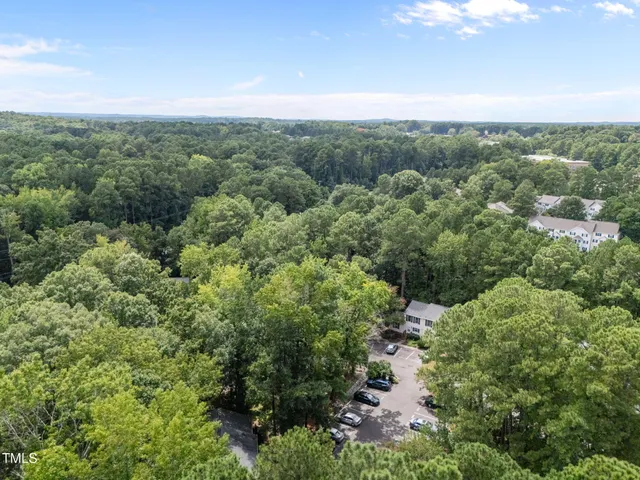 a view of a city with lush green forest