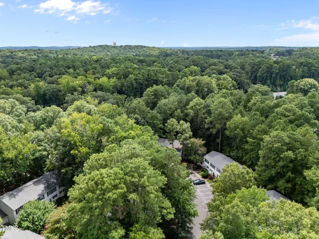 a view of a city with lush green forest