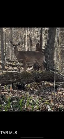 $245,000 | 1658 Echo Court, Kingsport, TN 37665