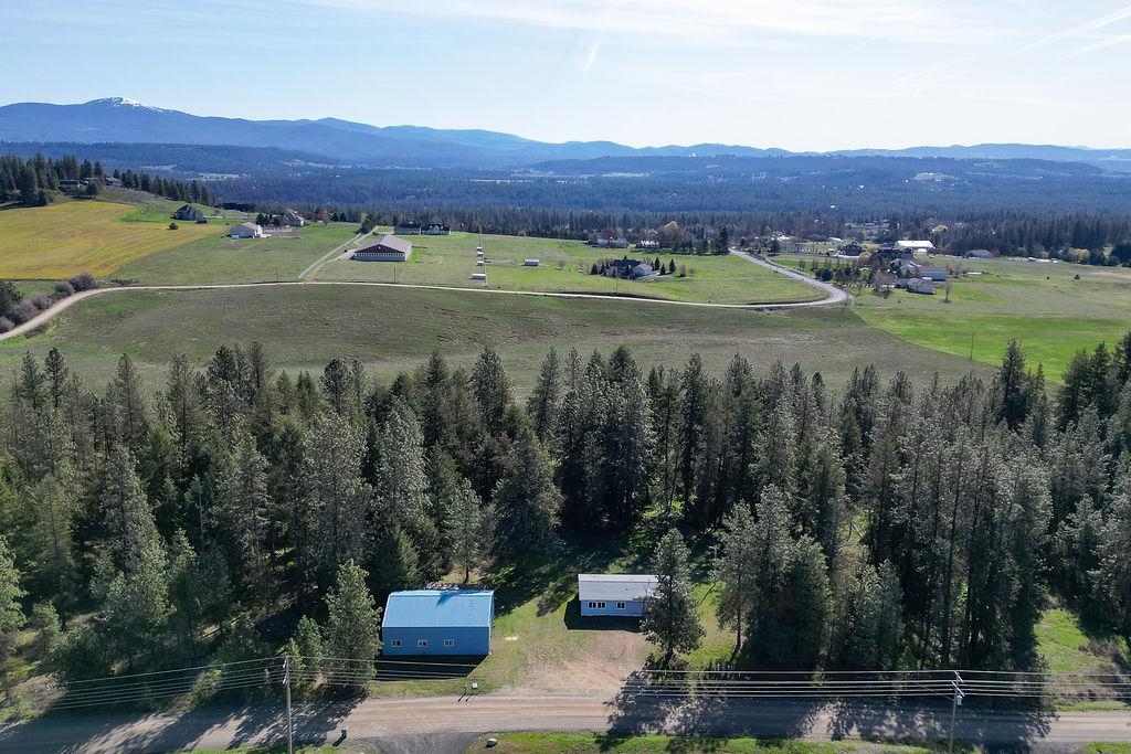 21314 North Division Road Colbert, WA 99005 - Photo 4 of 34