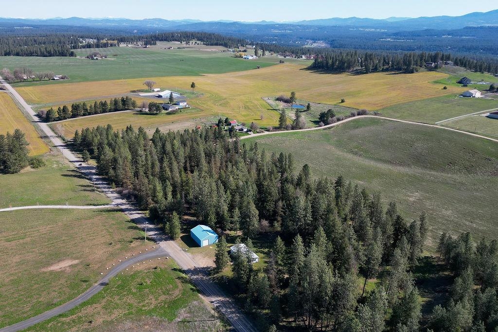 21314 North Division Road Colbert, WA 99005 - Photo 6 of 34