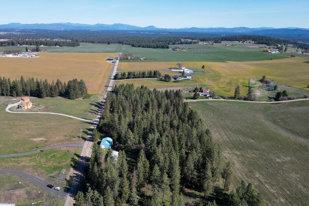 21314 North Division Road Colbert, WA 99005 - Photo 7 of 34