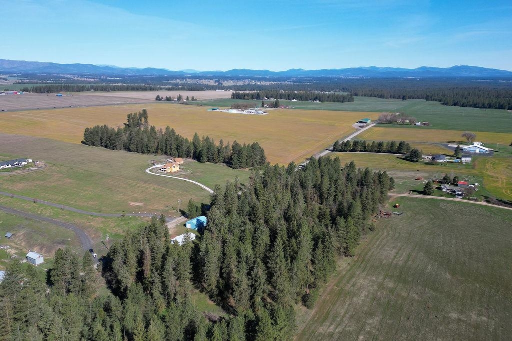 21314 North Division Road Colbert, WA 99005 - Photo 8 of 34