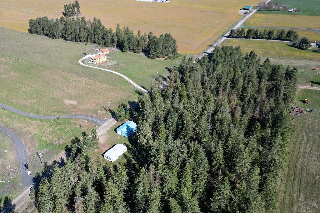 21314 North Division Road Colbert, WA 99005 - Photo 9 of 34