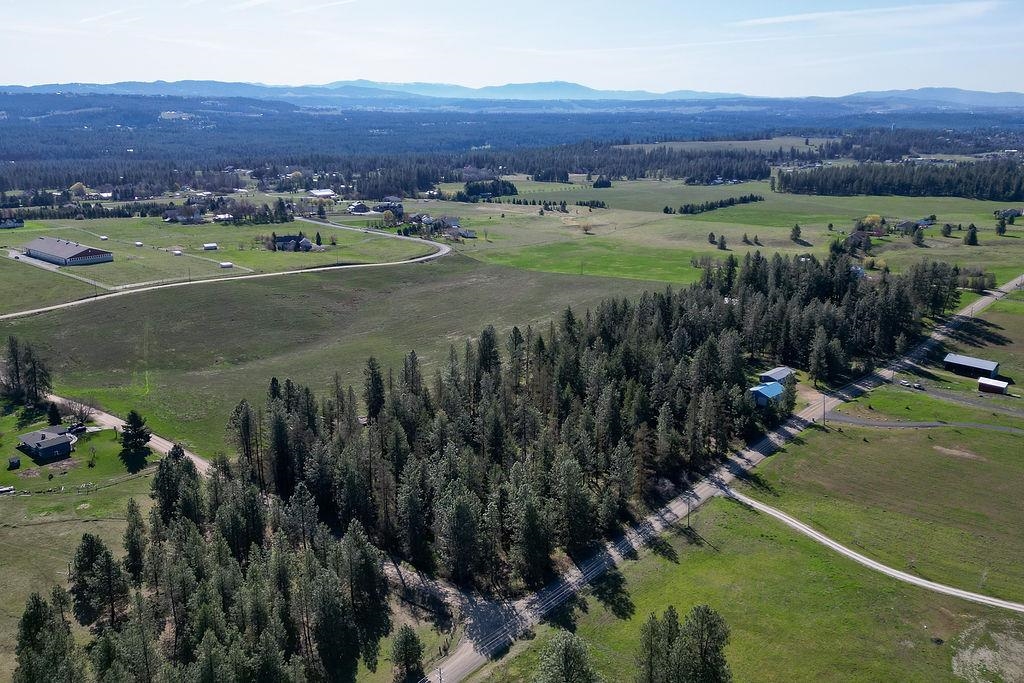 21314 North Division Road Colbert, WA 99005 - Photo 10 of 34