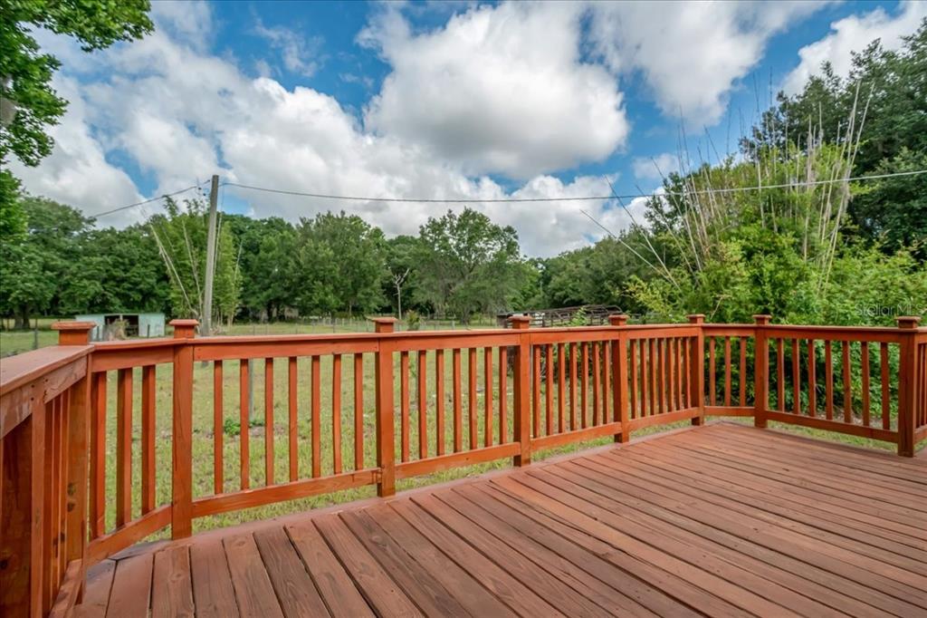 33608 Mandrake Road Wesley Chapel, FL 33543 - Photo 21 of 34 Gallery Image 21
