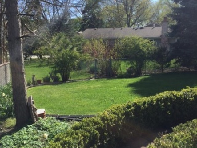 48 Timber Hill Road Buffalo Grove, IL 60089 - Photo 22 of 23 a view of a garden with a fountain