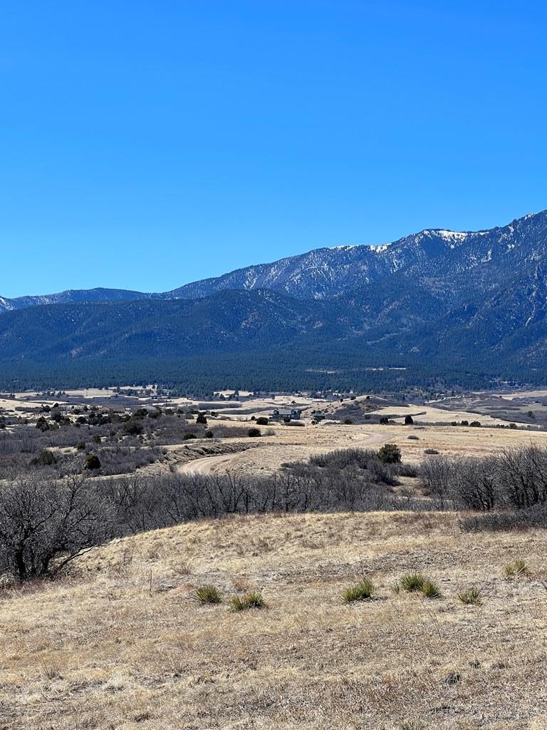 Lot 381 Big Bend Rye, CO 81069 - Photo 16 of 19 Gallery Image 16