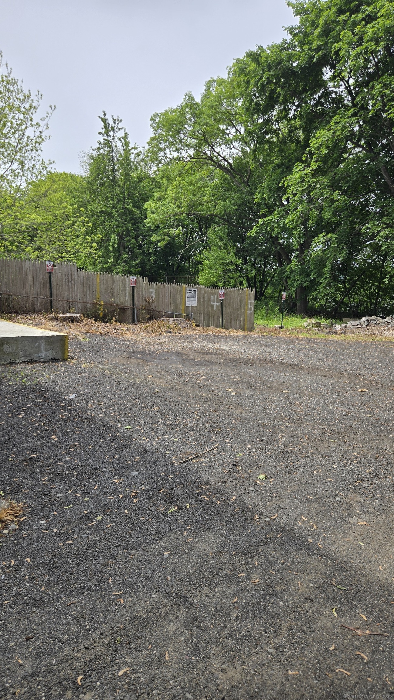117 Dikeman Street Waterbury, CT 06704 - Photo 15 of 17 a backyard of a house with lots of green space