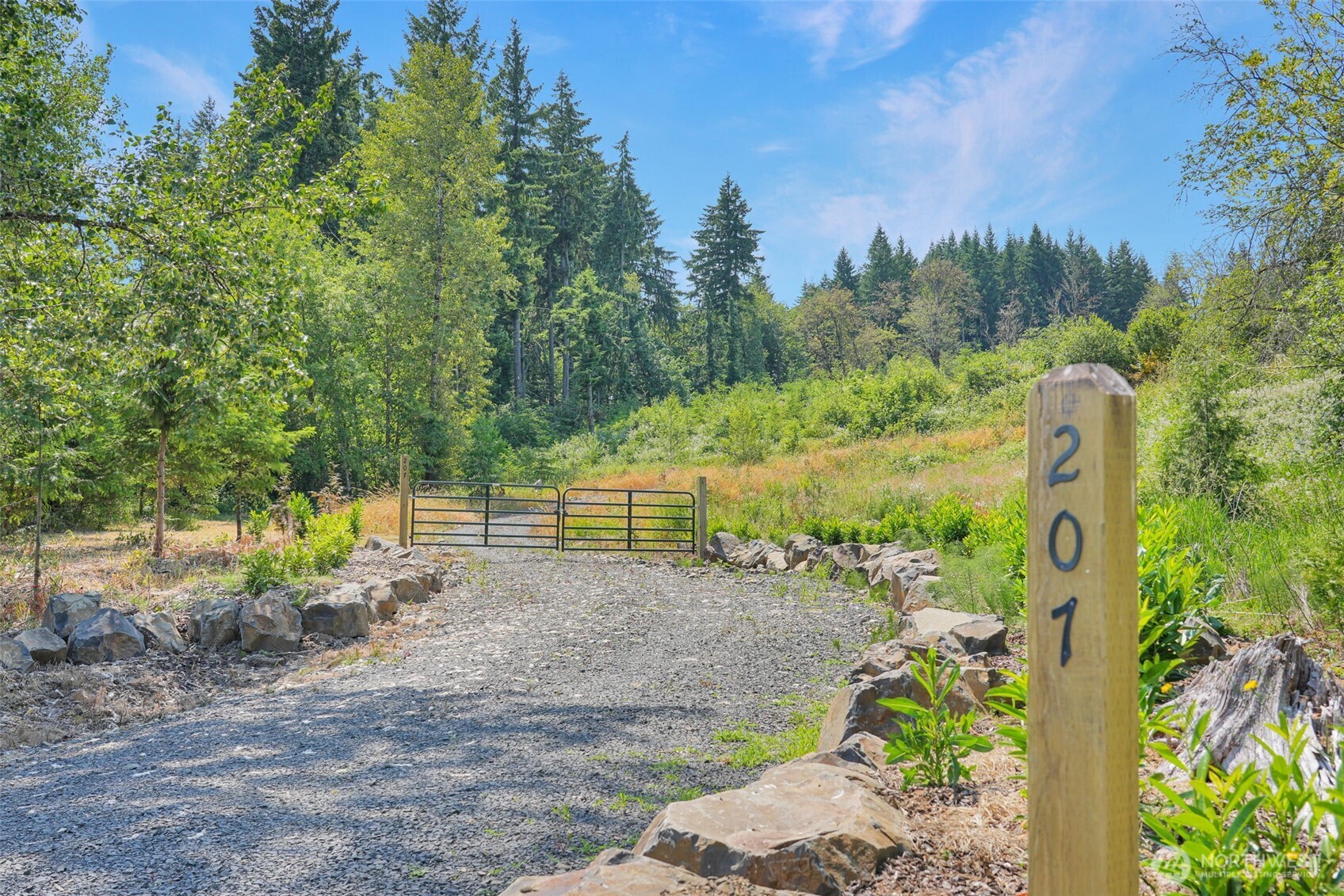 a view of a park with a tree