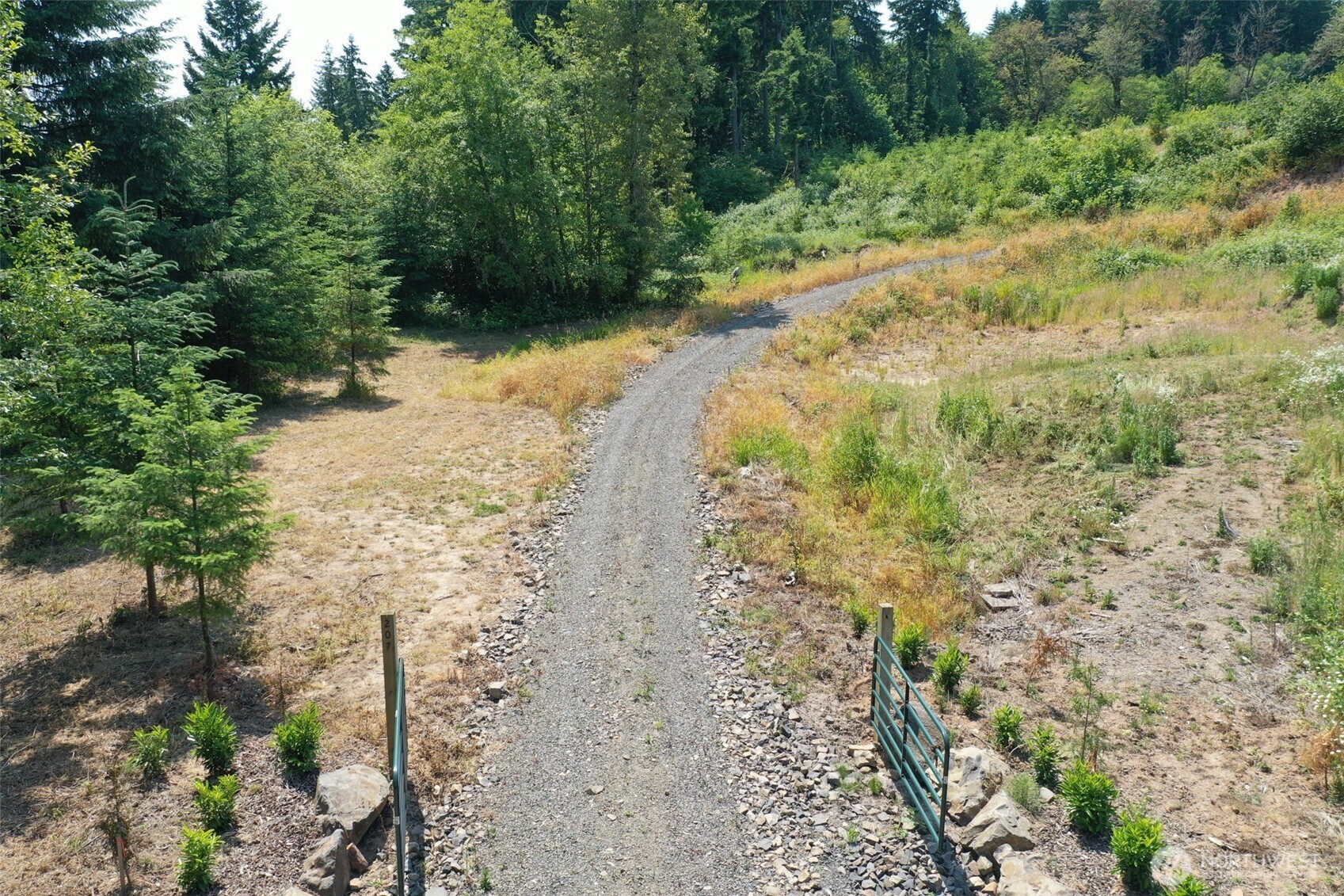 207 Sanderson Road Chehalis, WA 98532 - Photo 2 of 17 a view of a yard with plants and large trees