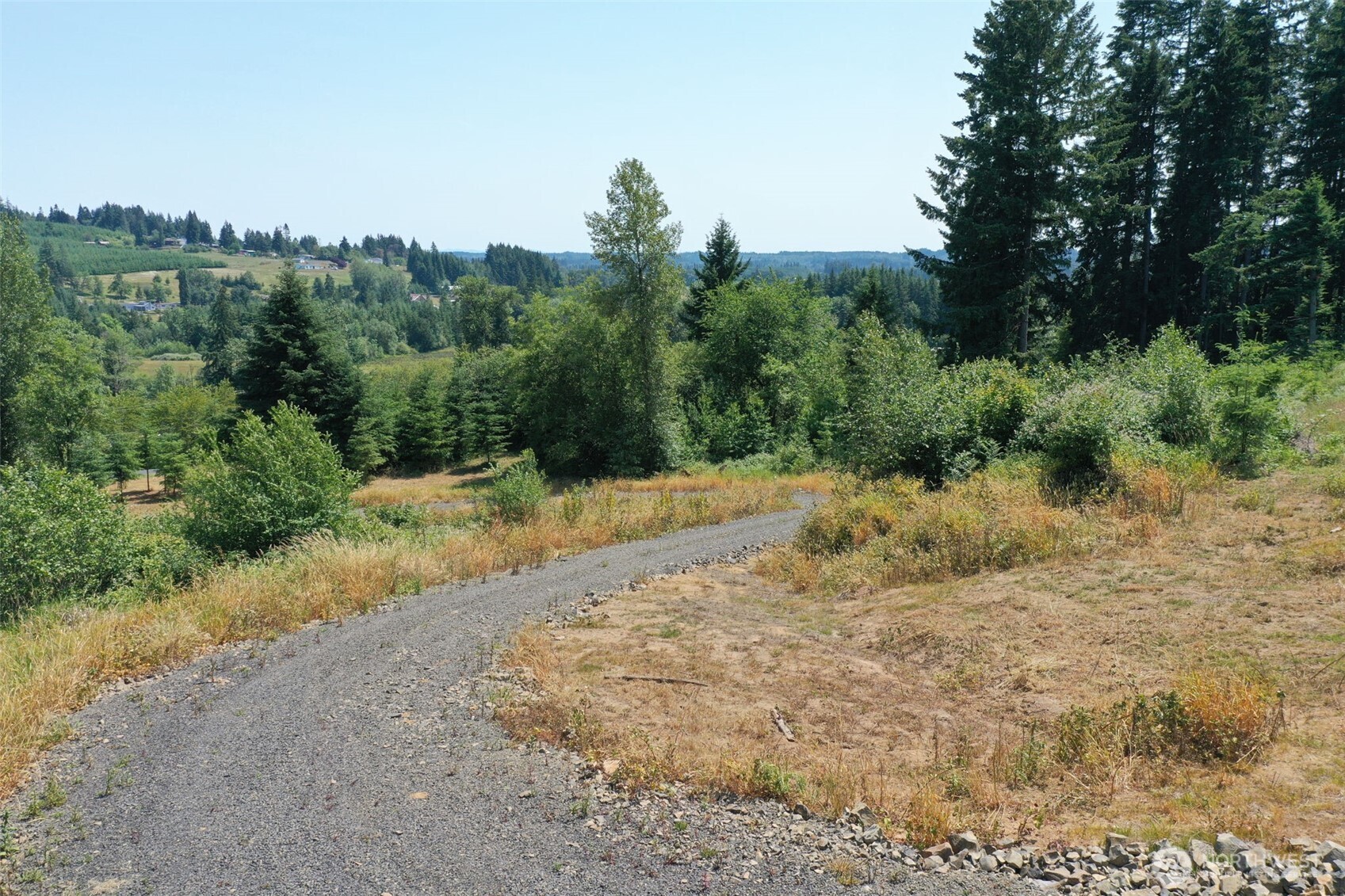 207 Sanderson Road Chehalis, WA 98532 - Photo 3 of 17 a view of a dry yard with trees in the background