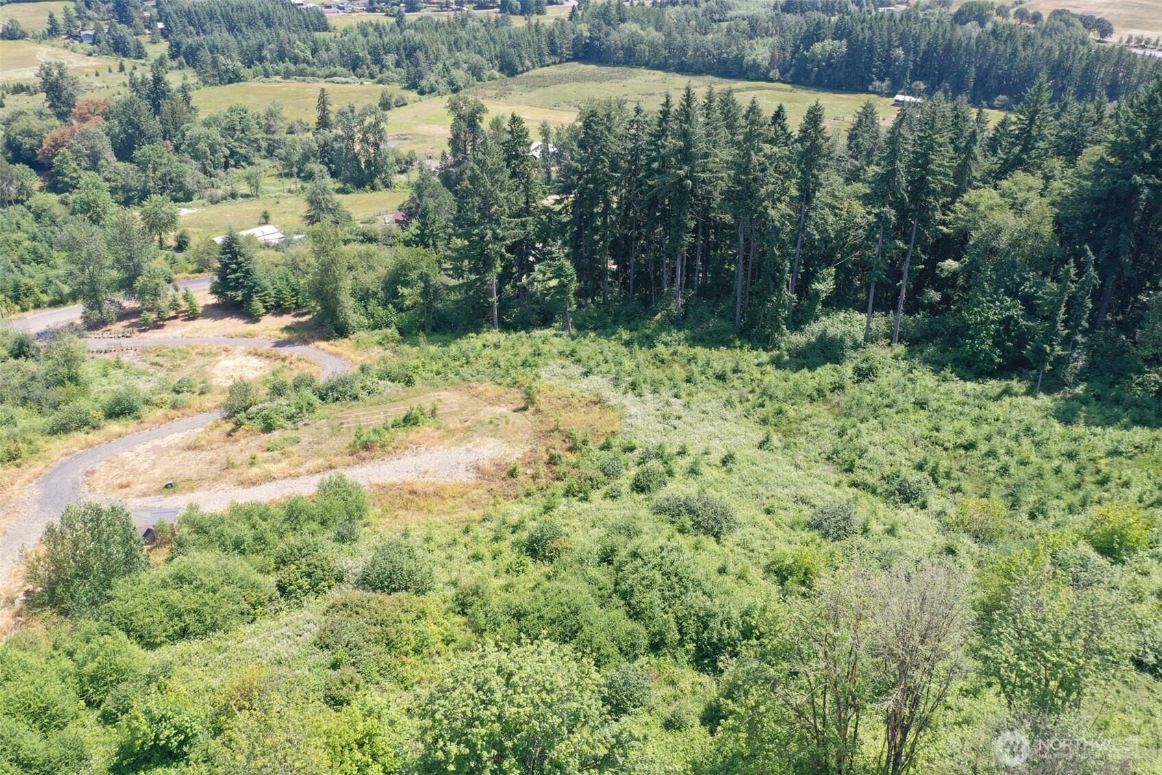 207 Sanderson Road Chehalis, WA 98532 - Photo 10 of 17 a view of a forest with a lake