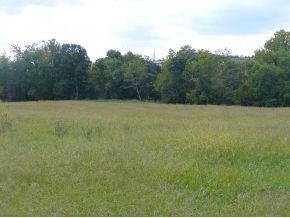 Lot 10 Afton Road, Unit 10 Afton, TN 37616 - Photo 3 of 5 Photo 3