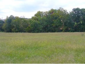 Lot 10 Afton Road, Unit 10 Afton, TN 37616 - Photo 4 of 5 Photo 4