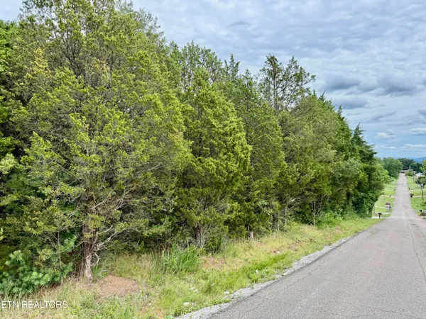 111 Britton Drive, Talbott, TN 37877