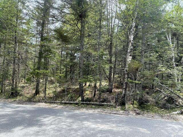 0 Reach Road Deer Isle, ME 04627 - Photo 5 of 8 IMG_7419