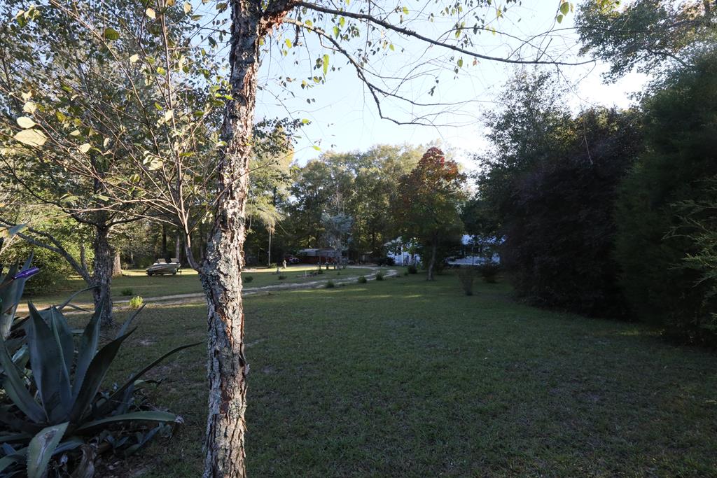 380 Timber Lane Abbeville, AL 36310 - Photo 8 of 88