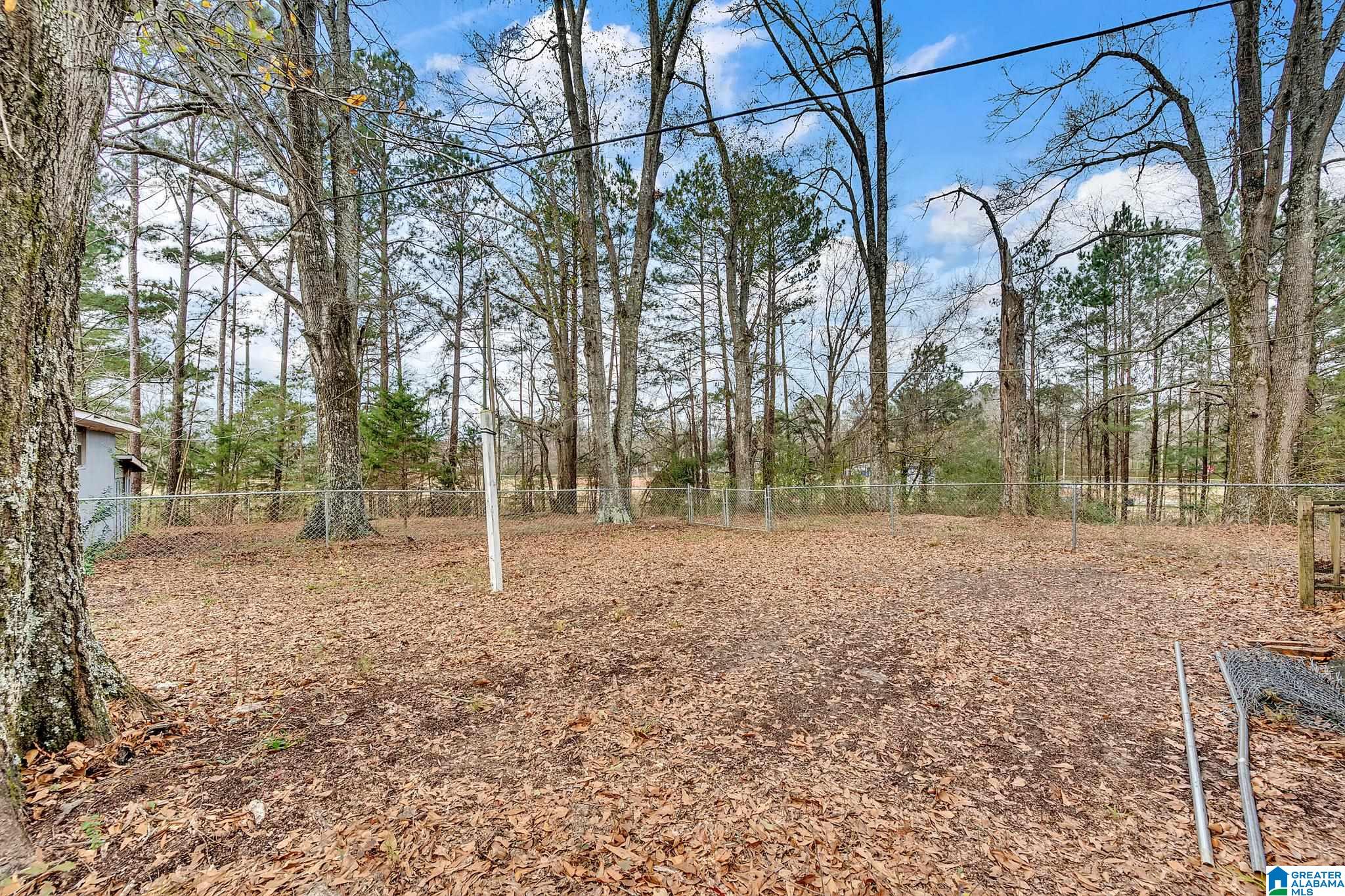 3478 Mount Olive Road Mount Olive, AL 35117 - Photo 7 of 18