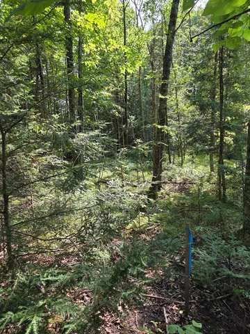 $64,900 | W7793 Bergeson Lane, Amberg, WI 54102