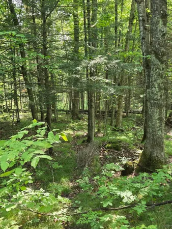 $64,900 | W7793 Bergeson Lane, Amberg, WI 54102