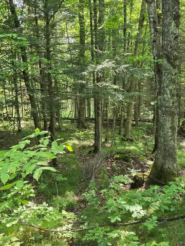 $64,900 | W7793 Bergeson Lane, Amberg, WI 54102