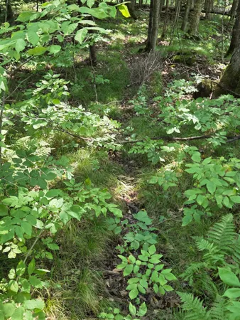 $64,900 | W7793 Bergeson Lane, Amberg, WI 54102