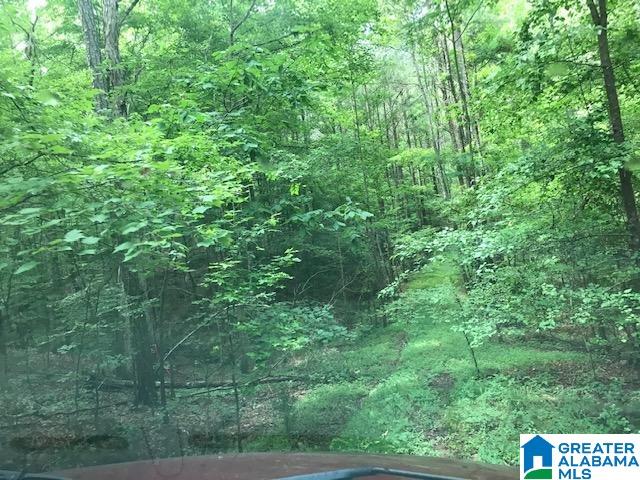 Mountain View Vance, AL 35490 - Photo 19 of 28