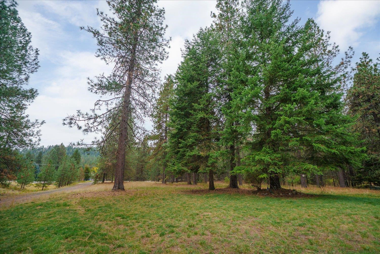 22915 East Morris Road Newman Lake, WA 99025 - Photo 33 of 50 Gallery Image 33
