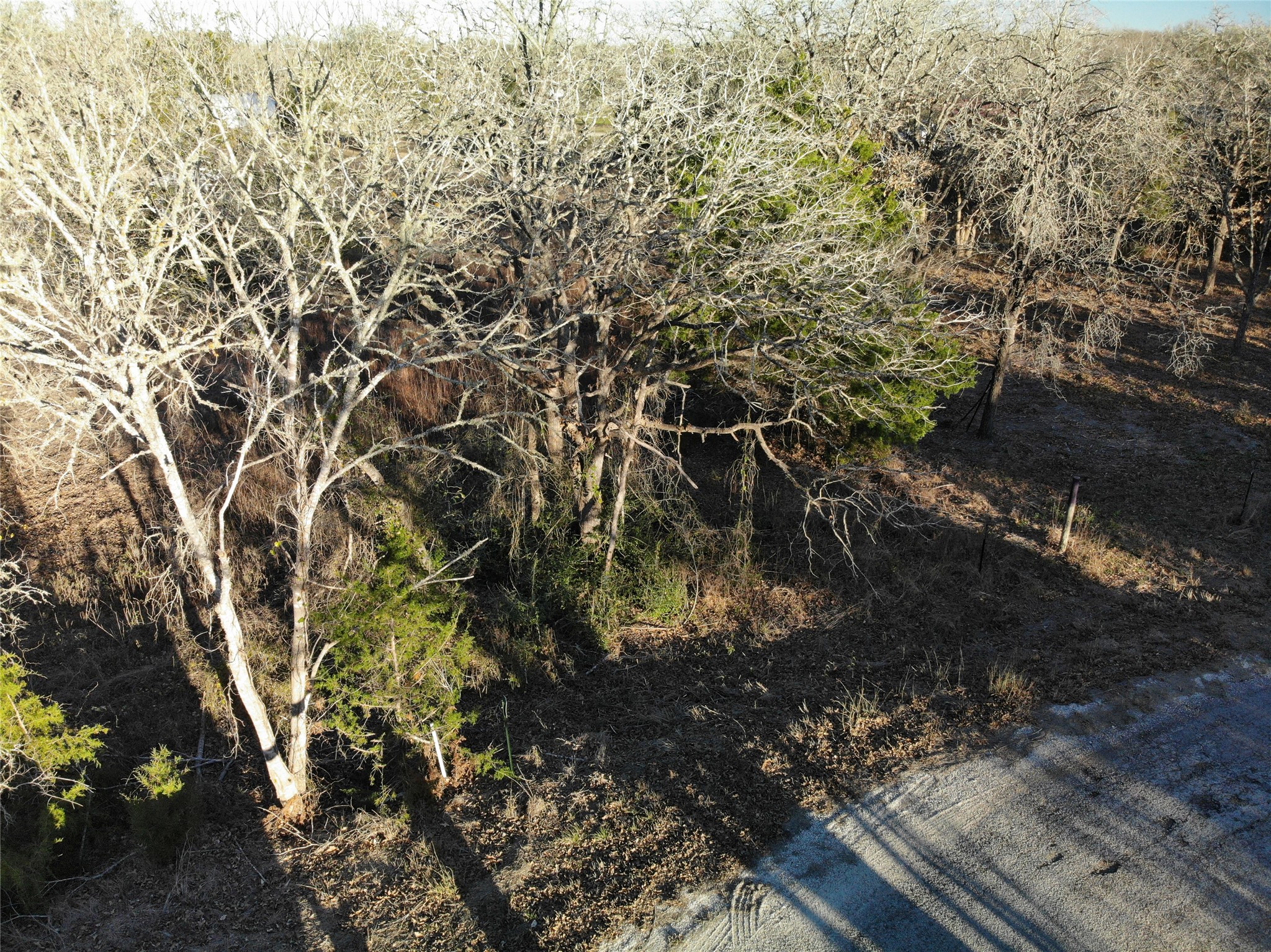 390-80 Hill Loop Road Somerville, TX 77879 - Photo 11 of 16