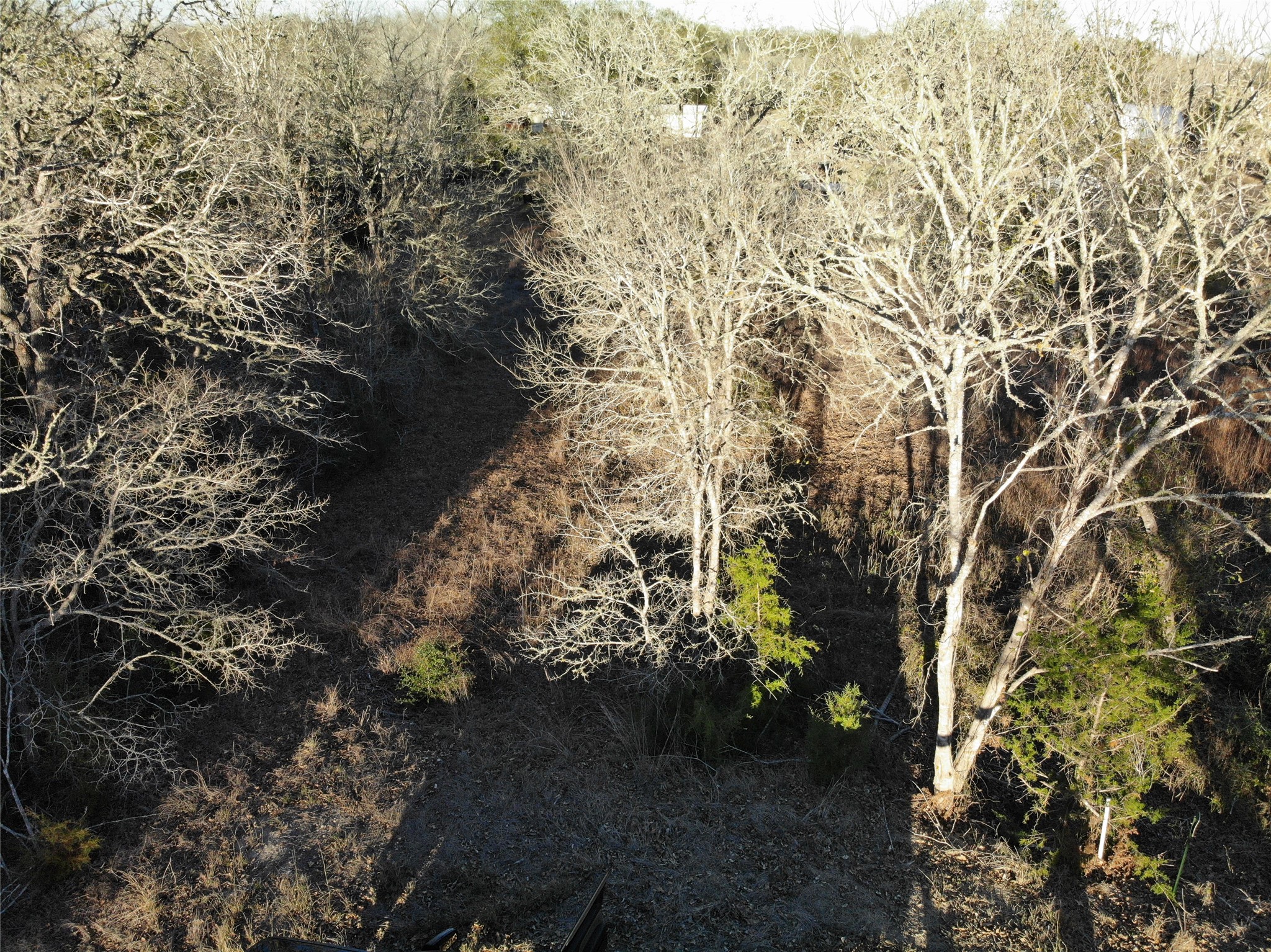 390-80 Hill Loop Road Somerville, TX 77879 - Photo 12 of 16