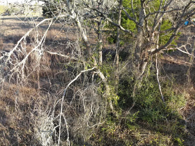 $28,000 | 390-80 Hill Loop Road, Somerville, TX 77879