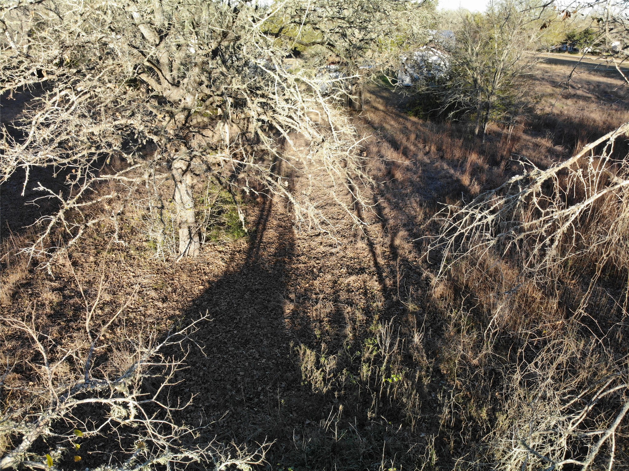 390-80 Hill Loop Road Somerville, TX 77879 - Photo 16 of 16