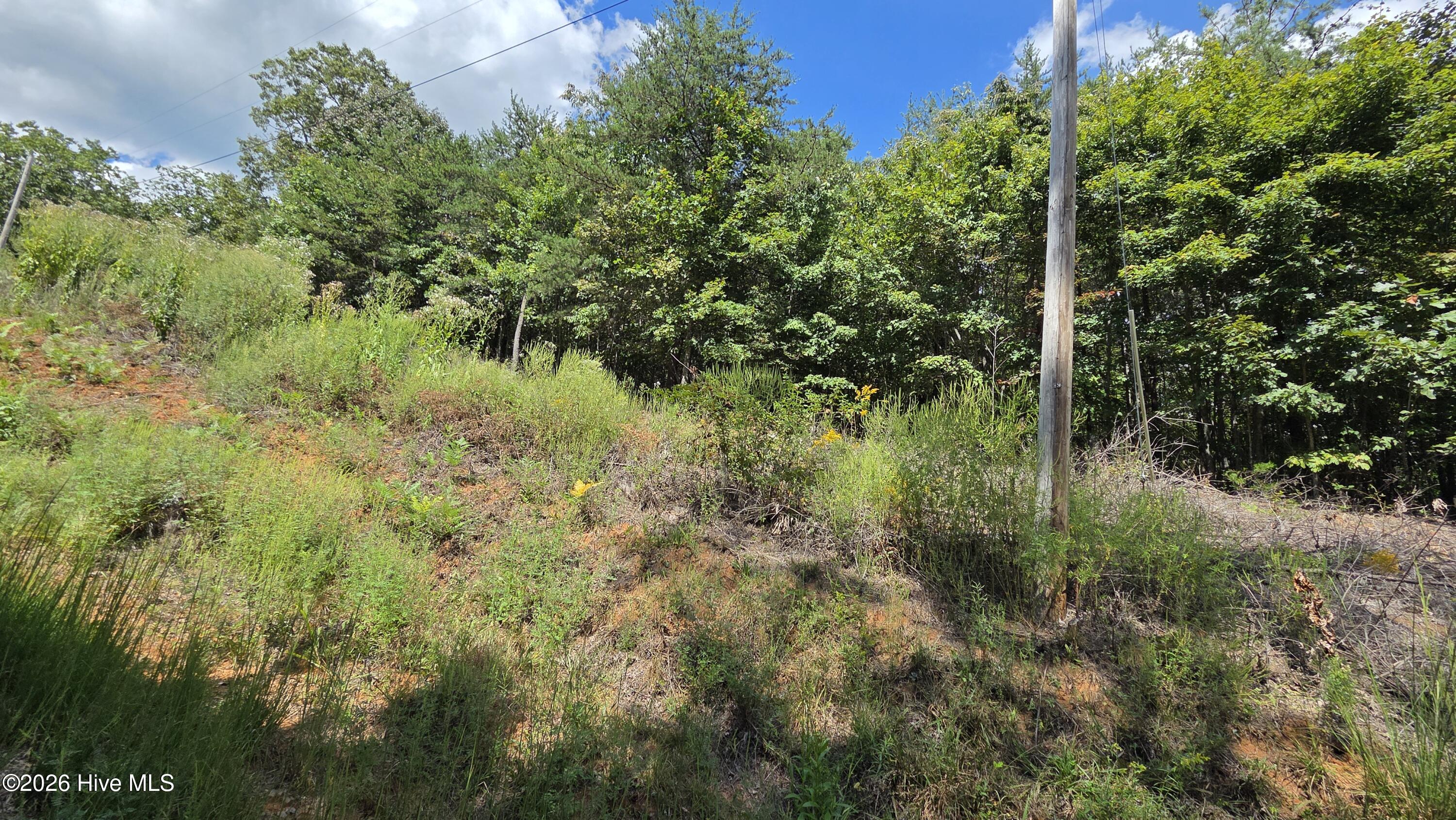 Lot 9 Wolf Ridge Lane Murphy, NC 28906 - Photo 1 of 1 2026-09-11 14.10.10