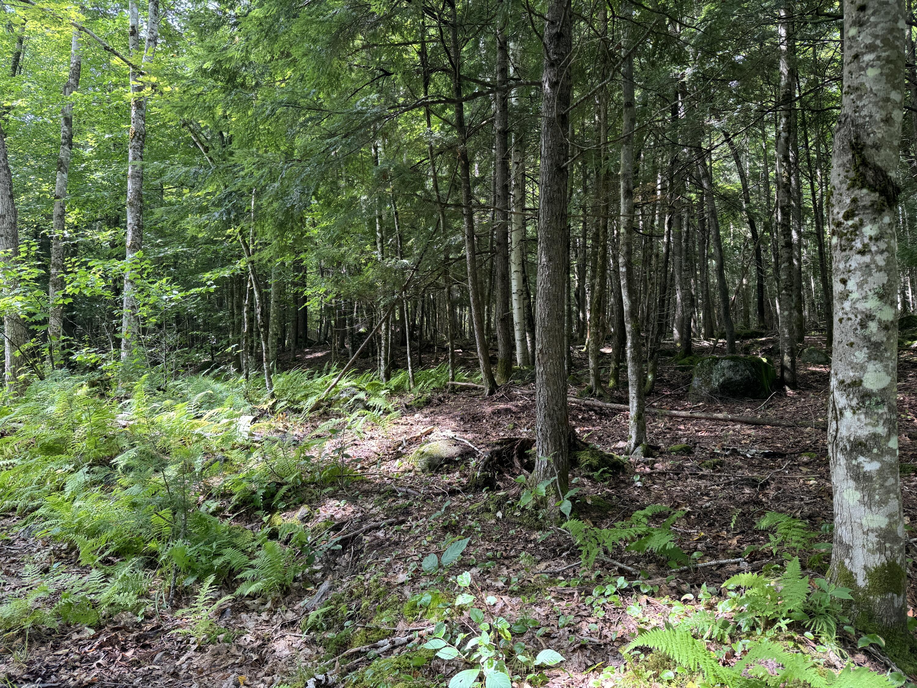 105 Poplar Point Road Mount Vernon, ME 04352 - Photo 20 of 38 IMG_9205