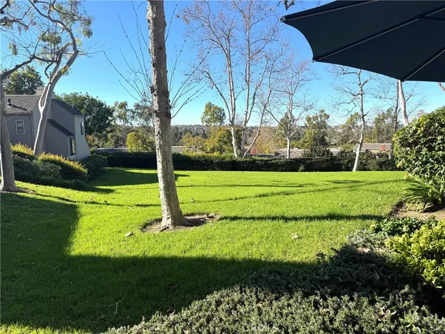 a view of a park with large trees