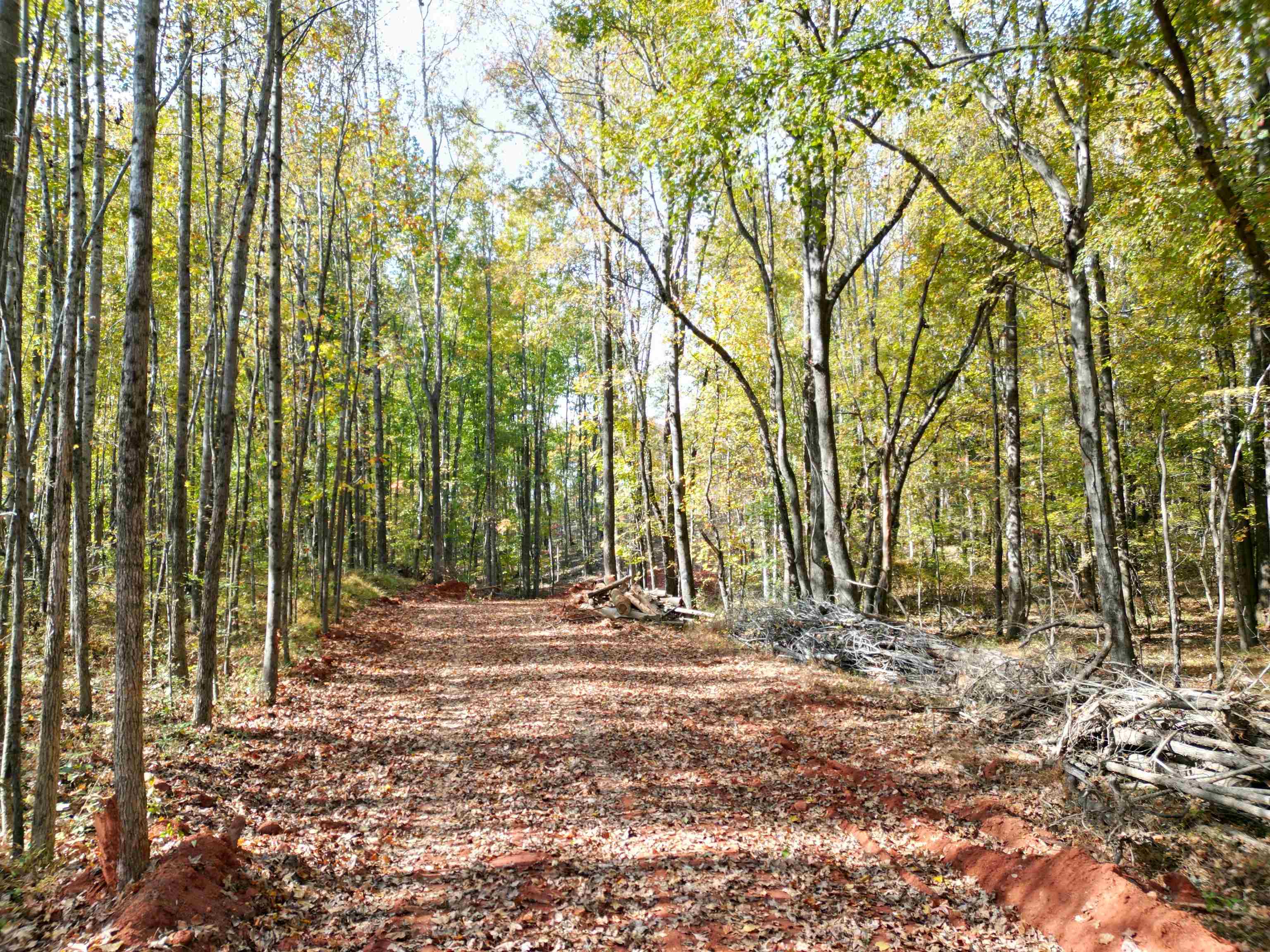 Ray Blackley Inman, SC 29349 - Photo 4 of 13