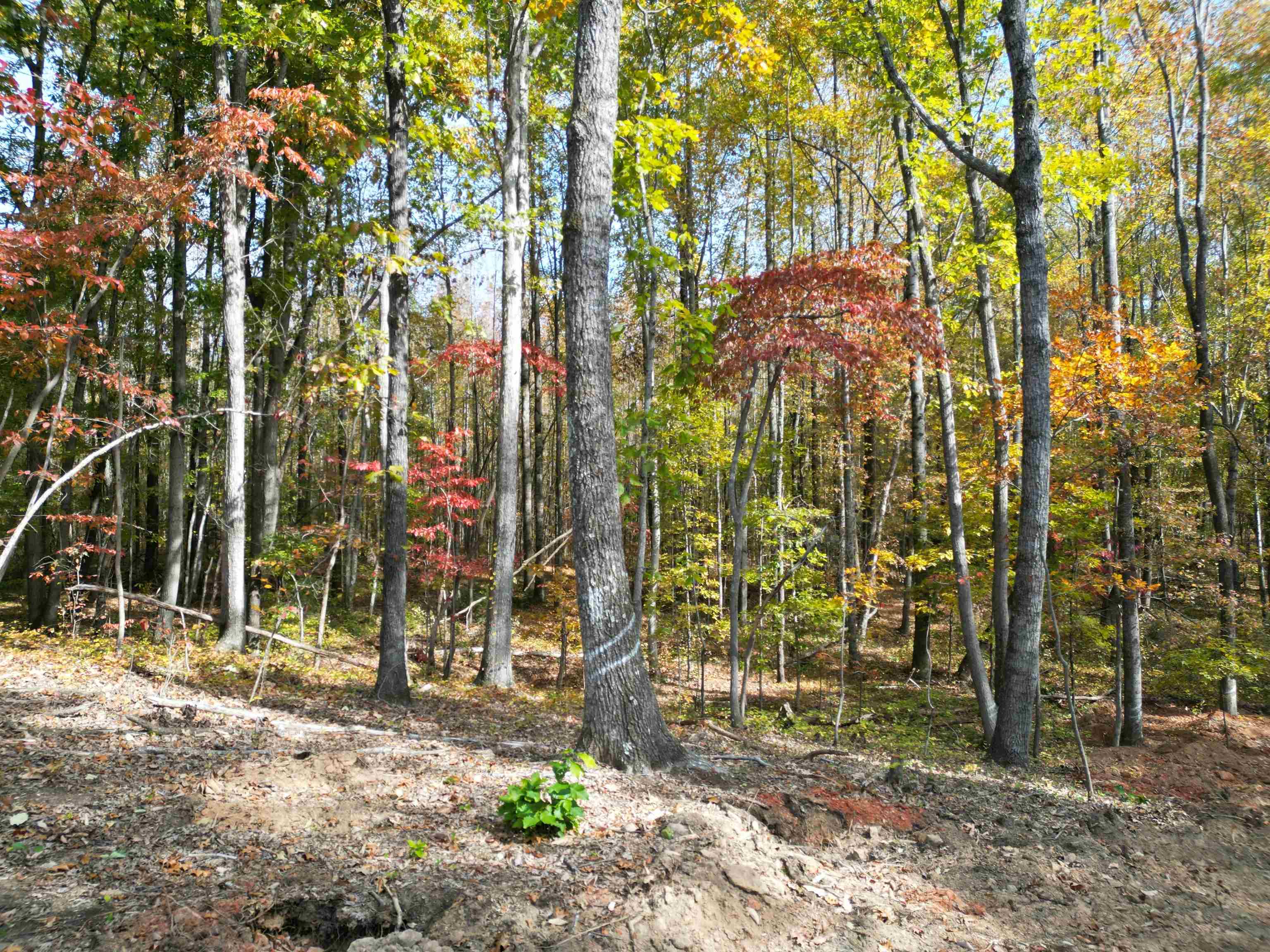 Ray Blackley Inman, SC 29349 - Photo 9 of 13