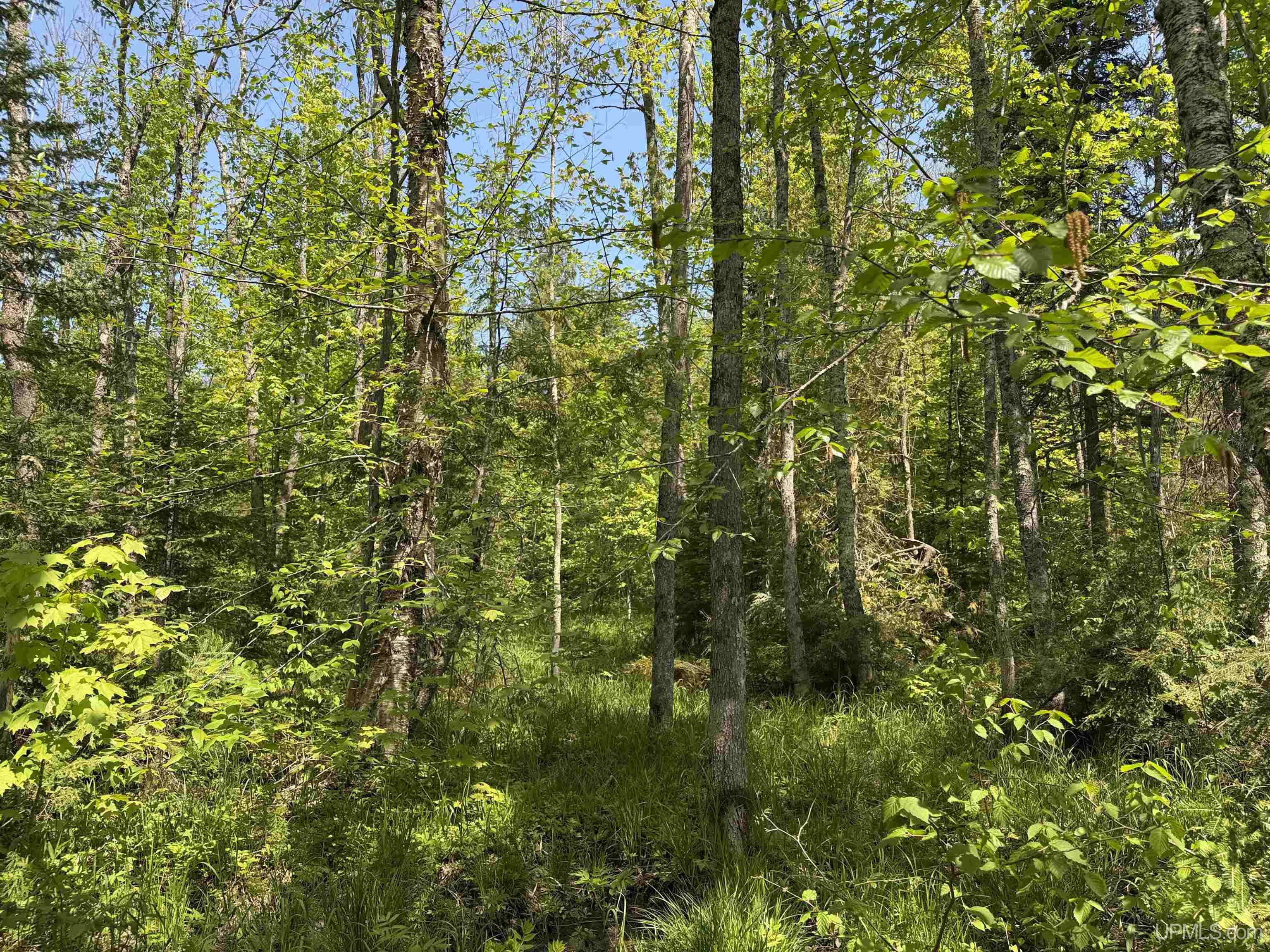 Off East Lake Road Ironwood, MI 49938 - Photo 6 of 30