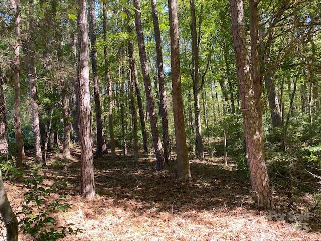 6045 C Campbell Road York, SC 29745 - Photo 4 of 6 a view of outdoor space and tree