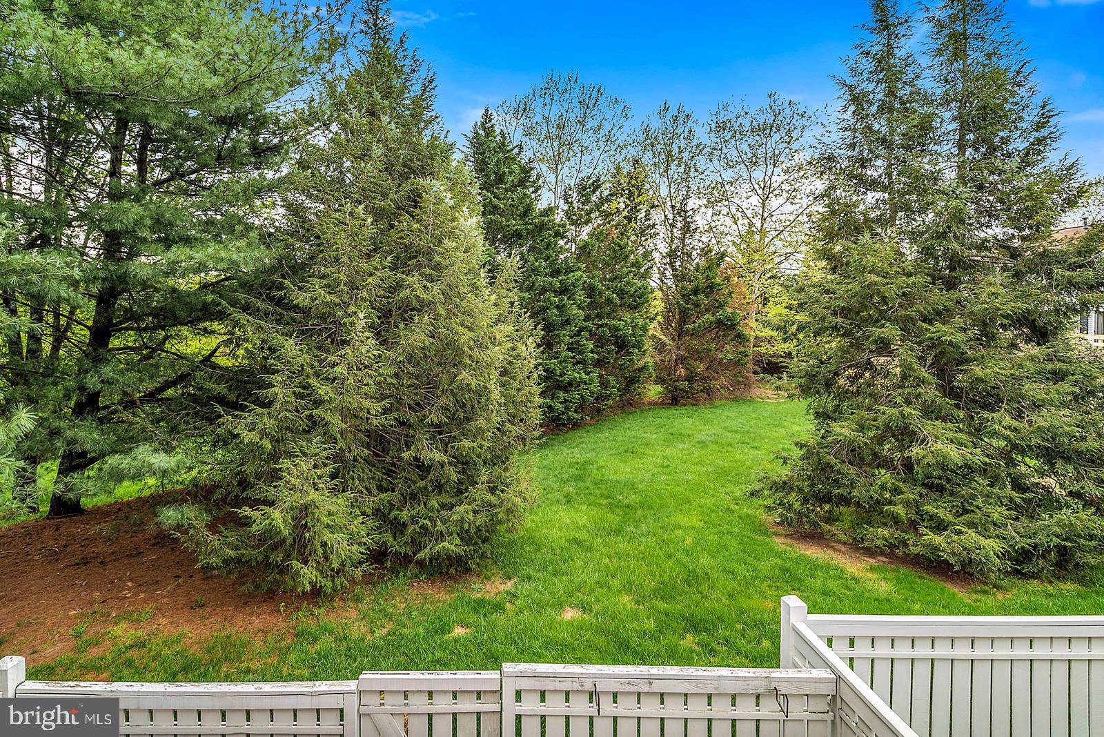 12101 Sundance Court Reston, VA 20194 - Photo 8 of 18 view from the deck-trees!