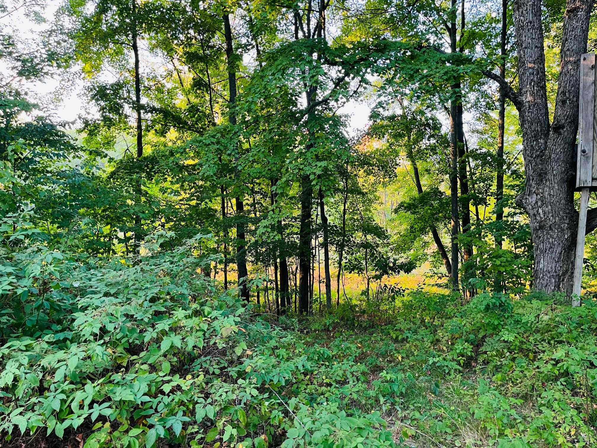 9222 East 8th Street Reed City, MI 49677 - Photo 25 of 28 Gallery Image 25